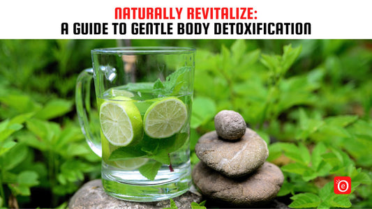 Naturally Revitalize: A Guide to Gentle Body Detoxification