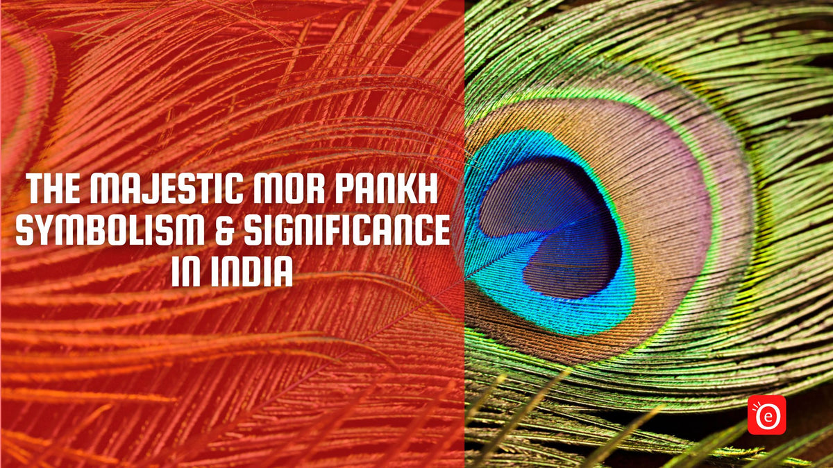 Pankh Best Quality Mor Pankh Online in India | Symbolism and Significance ...