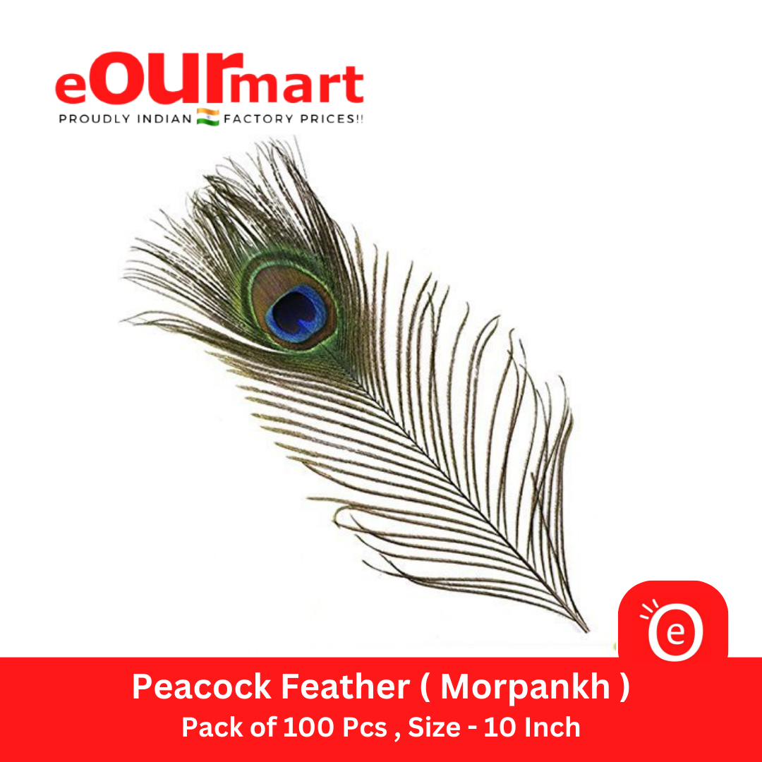 Natural Peacock Feather 10 Inch | Mor Pankh | Real Peacock | 100 Pieces Feather Tails for Home Decor Full Length | Good Luck Art and Craft & Worship