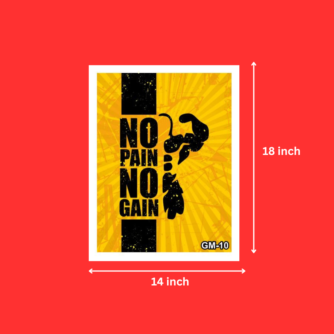 Pyramid International 'No Pain No Gain' Fitness Motivational Canvas