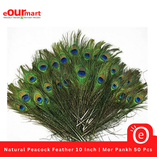 Natural Peacock Feather 10 Inch | Mor Pankh | Real Peacock Feather | 50 Pieces @349.90/-