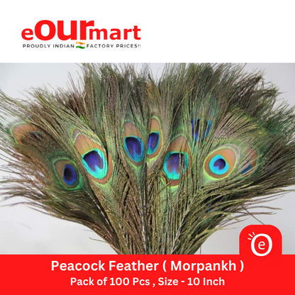 Natural Peacock Feather 10 Inch | Mor Pankh | Real Peacock | 100 Pieces Feather Tails for Home Decor Full Length | Good Luck Art and Craft & Worship