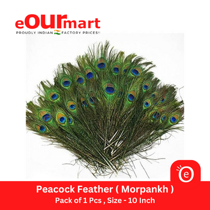 Natural Peacock Feather 10 Inch 