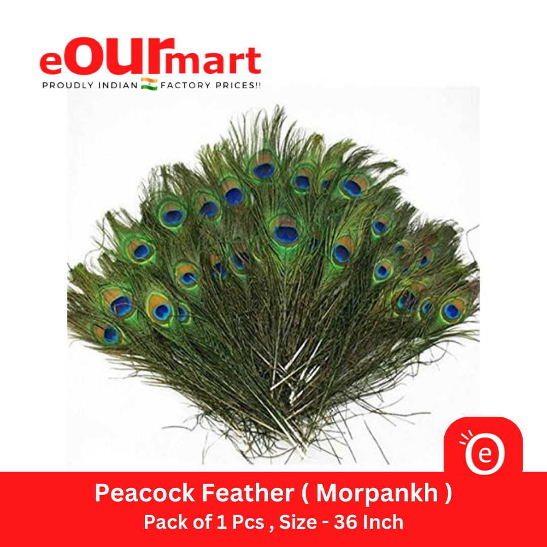 Natural Peacock Feather 36 Inch | Mor Pankh | Real Peacock | Feather Tails for Home Decor Full Length | Good Luck Art and Craft & Worship | Pack of 1