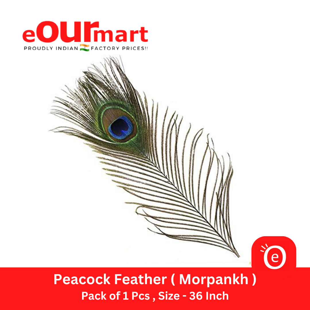 Natural Peacock Feather 36 Inch | Mor Pankh | Real Peacock | Feather Tails for Home Decor Full Length | Good Luck Art and Craft & Worship | Pack of 1