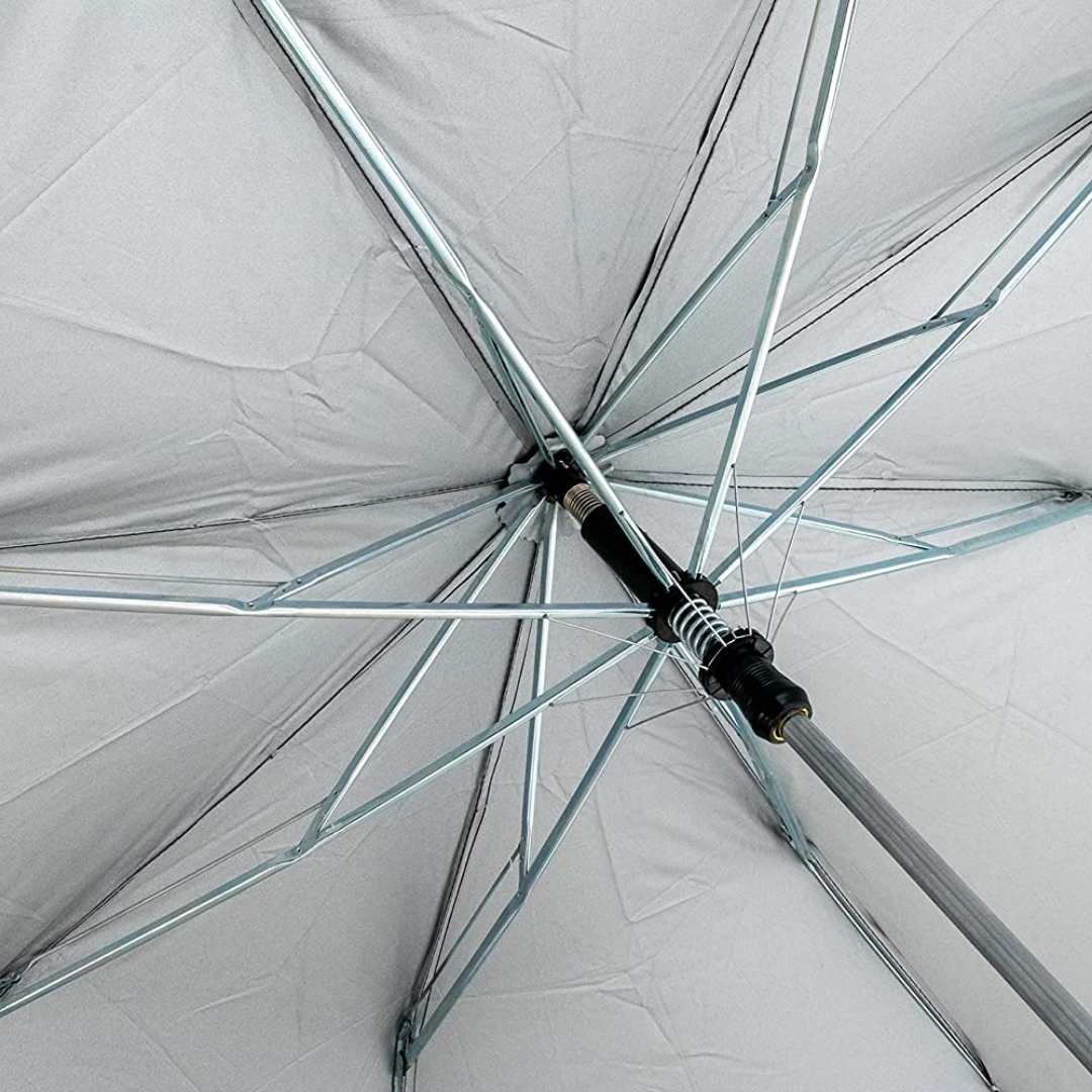 Umbrella, 2 Fold, Auto Open Umbrella, Rain and UV Rays Protection (21 Inch, Black)