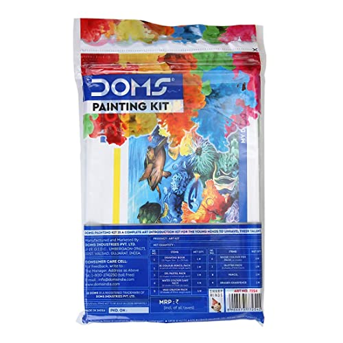 DOMS Painting Kit