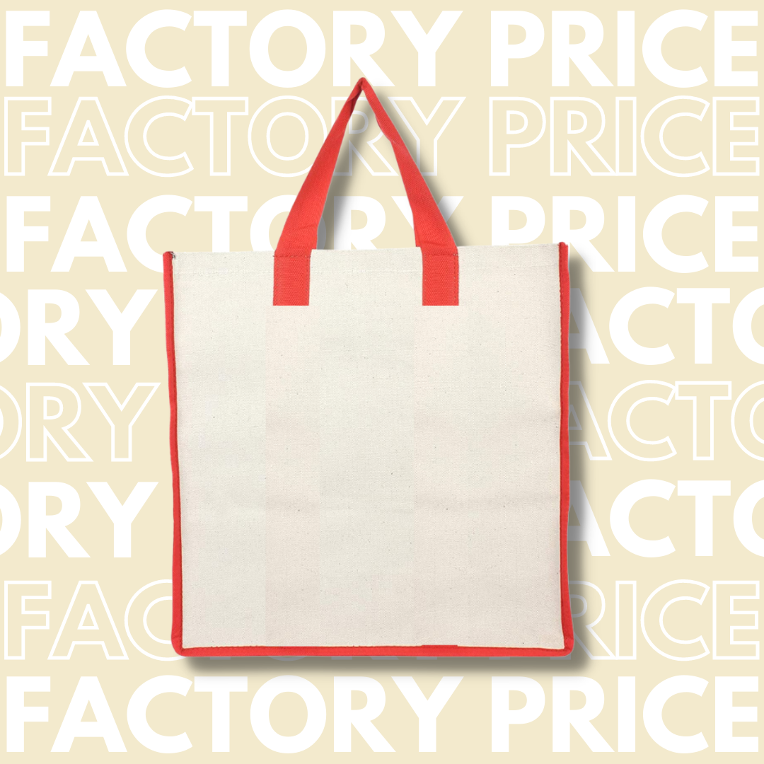 Products Canvas Shopping Bags, Reusable Bag for Grocery, Fruits, and Vegetable with Handles, Pack of 10 (White)