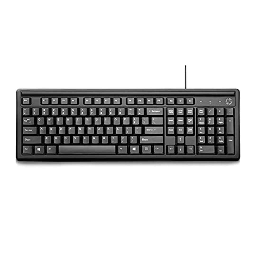 HP Keyboard 100 Wired Desktop Keyboard (Black)